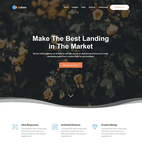 Portfolios 82 ledata