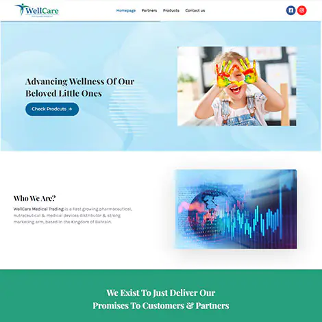 Portfolios 20 WellCare